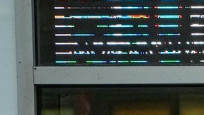 La municipalidad estudia iniciativas para aceras más transitables y estéticas.