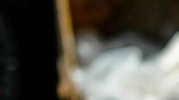 El alcalde Eric Adams, y el sheriff Anthony Miranda anunciaron la  destrucción de unas cuatro toneladas, o 576 bolsas, de productos de cannabis ilegales incautados.