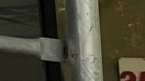 Vendedores ambulantes de NYC recorrieron varias calles de Manhattan exigiendo más licencias y protecciones