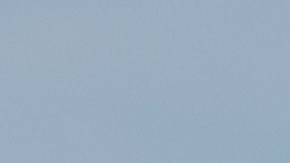 El peleador ruso Vladimir Shishkin disputará el título súper mediano del FIB.