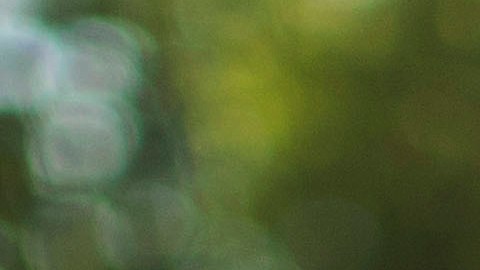 Atleta muere ahogado en plena competencia de los CrossFit Games 2024