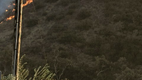 Agende del sheriff fue atropellada por conductor que se dio a la fuga en California