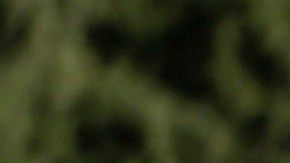 Alambre de púas en Texas