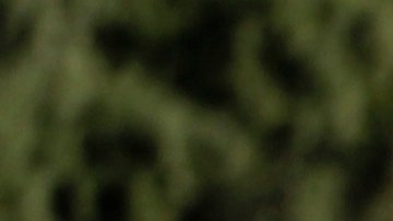 Alambre de púas en Texas