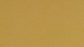 Ramírez forma parte del Salón de la Fama del deporte en República Dominicana.