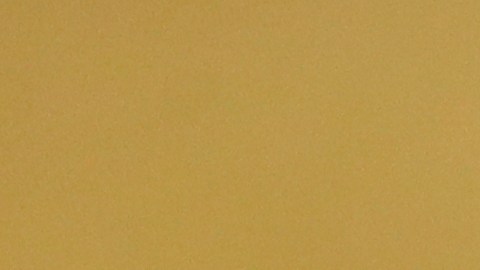 Ramírez forma parte del Salón de la Fama del deporte en República Dominicana.