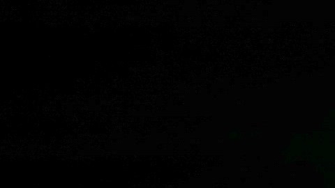 Los paramédicos trasladaron a Womack al Hospital Lincoln, donde fue declarado muerto.