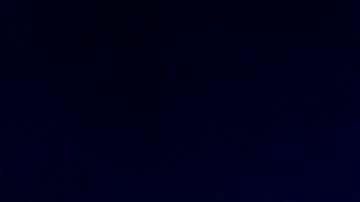 La madre de McLaurin dijo que toda la familia había venido desde Carolina del Norte para asistir a las nupcias.