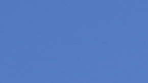 Demócratas puertorriqueños en Florida