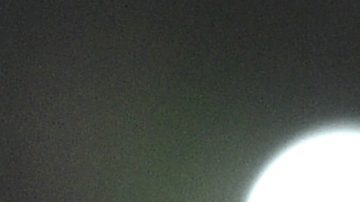 Ecuador anunció al argentino Sebastián Beccacece como su nuevo DT