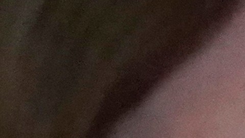 Ellis aceptó testificar contra los acusados y a dar a los fiscales materiales vinculados con el presunto plan.