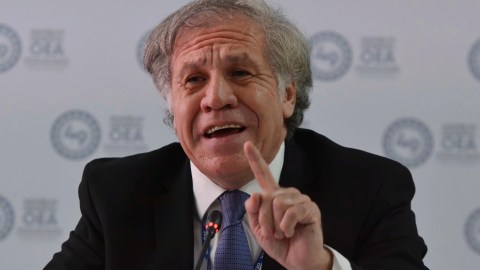 El Consejo Permanente de la OEA dio luz verde por consenso una resolución que exige al régimen de Nicolás Maduro la publicación "de manera expedita".