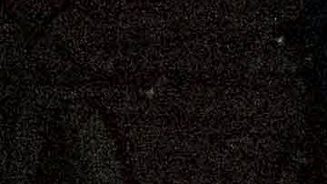 El subdirector del NYPD dijo que el sospechoso había sido arrestado cuatro veces previamente, siendo el más reciente un robo en 2022.