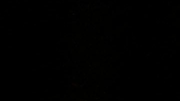 La pareja terminó antes de que Marisa quedara embarazada, pero dijo que su relación terminó "impulsada por la interferencia de la madre [de Reed]".