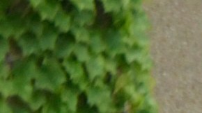 Las afueras del Guaranteed Rate Field fueron un caos con la pelea.