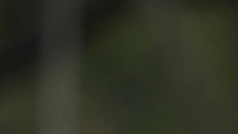Luis Pérez durante una práctica con Los Angeles Rams.