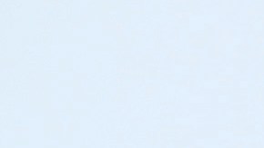 Floyd Mayweather durante una exhibición en Zimbabue.