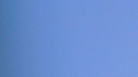 El 'Proyecto 2025' propone concentrar el poder en la figura del presidente.