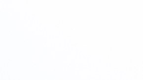 Los fanáticos se enfrentaron a las afueras del Citizens Bank Park de Philadelphia.