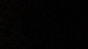 Un testigo señaló que escuchó un solo disparo seguido de otra serie de disparos en respuesta, que atribuyó a los funcionarios.