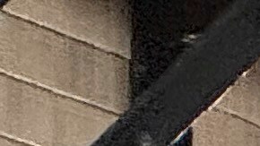 Hasta el momento no hubo precisiones sobre la sospechosa y los cargos en su contra siguen pendientes.