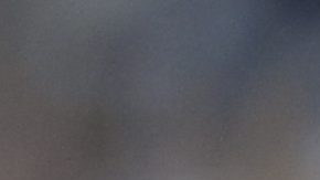 Emiliano Martinez durante la Copa América  2024.