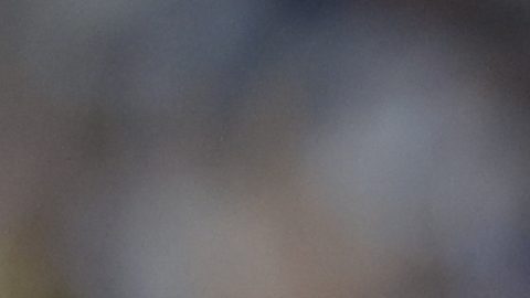 Emiliano Martinez durante la Copa América  2024.