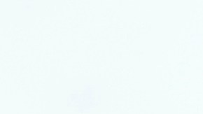 Max Verstappen estrella de la escudería Red Bull.