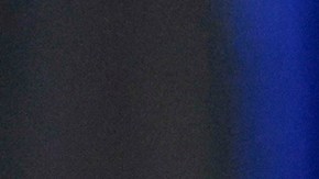 El acuerdo de culpabilidad evitaba que el caso pudiera acarrear una sentencia de pena de muerte.