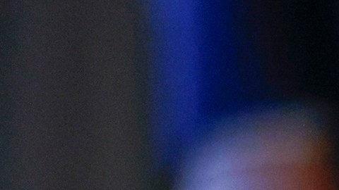 El acuerdo de culpabilidad evitaba que el caso pudiera acarrear una sentencia de pena de muerte.