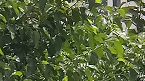 Irán reconoce que represalia prometida contra Israel se podría retrasar