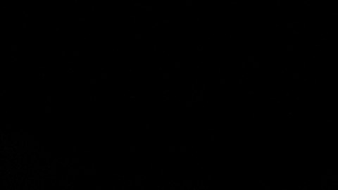 La peleadora italiana Angela Carini ante Imane Khelif.