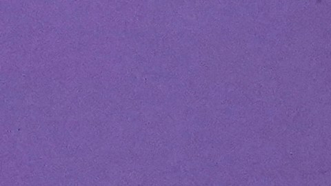 Angela Carini luego de abandonar el combate ante Imane Khelif.