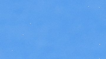 Thomas Craig en acción junto al indio Shamsher Singh en París 2024.