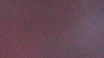 Elly de la Cruz lleva 55 bases robadas esta temporada.