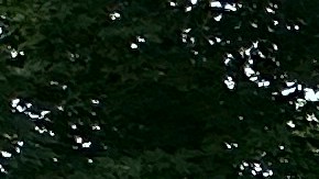 Vista de una vivienda en Seymour Lake, en Morgan, Vt, afectada por inundaciones.