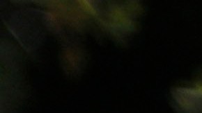 Una mujer sostiene un cartel con un mensaje en español que dice: "No somos terroristas" en Caracas, Venezuela.