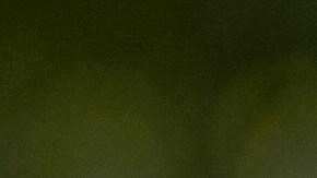 Machado consideró que la recomendación de Maduro de dejar de usar la aplicación de mensajería WhatsApp y la suspensión de X son señales de que "están atemorizados".