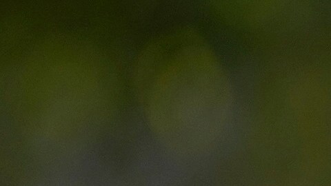 Machado consideró que la recomendación de Maduro de dejar de usar la aplicación de mensajería WhatsApp y la suspensión de X son señales de que "están atemorizados".
