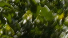 Operación Retuit: la estrategia para combatir la censura en Venezuela con IA