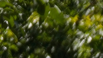 Operación Retuit: la estrategia para combatir la censura en Venezuela con IA