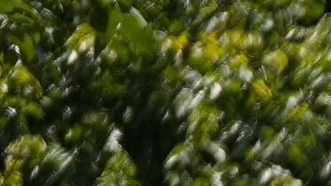 Operación Retuit: la estrategia para combatir la censura en Venezuela con IA