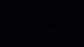 Equipo ucraniano de esgrima con la medalla de oro.