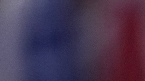 Un héroe: Novak Djokovic recibió espectacular bienvenida en Serbia tras su oro en París 2024