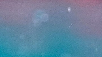 Alonso anunció su retiro de la natación tras quedar eliminada en los 100 metros mariposa.