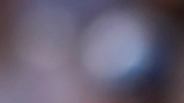 Carlos Alcaraz durante la final antes Novak Djokovic.