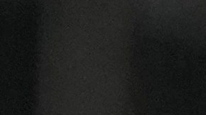 Anthony Volpe durante un encuentro ante Toronto Blue Jays.