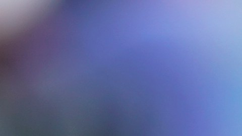 El cantante de origen cubano invierte en el deporte universitario.