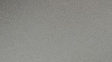 Alysha Newman es atleta y creadora de contenido en OnlyFans.