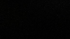 Donald Trump elecciones 2024